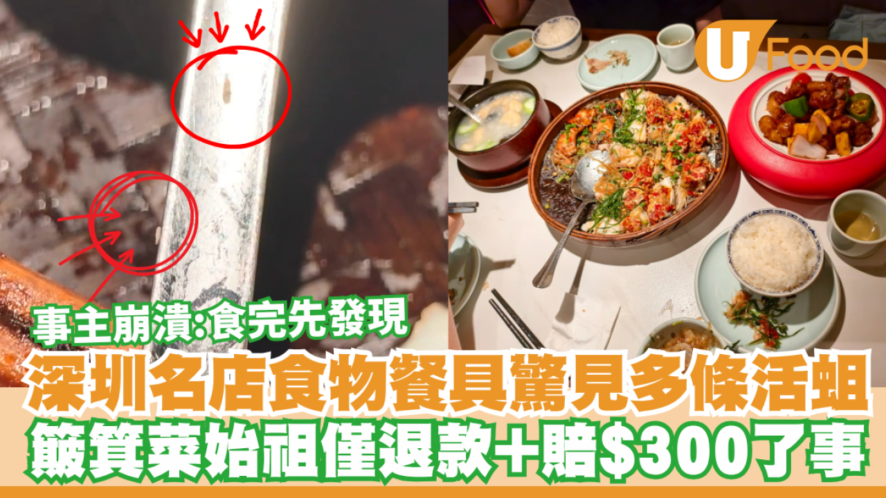 深圳名店食物餐具驚見多條活蛆！簸箕菜始祖僅退款+賠$300了事／事主崩潰：食完先發現