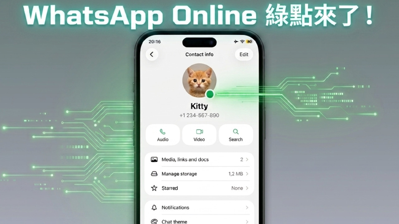 WhatsApp加入Online綠點！實時顯示聯絡人狀態扮唔Active點算？保私隱有法附設定教學 