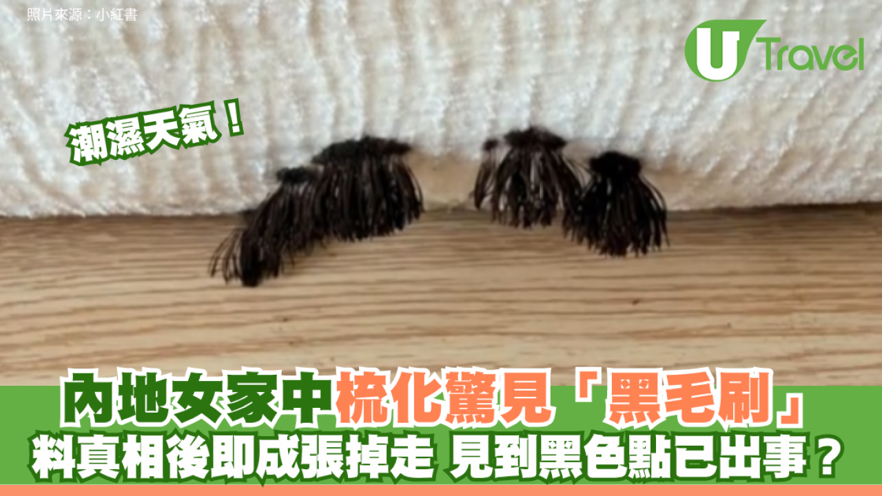 內地女家中梳化驚見「黑毛刷」 料真相後即成張掉走 見到黑色點已出事？