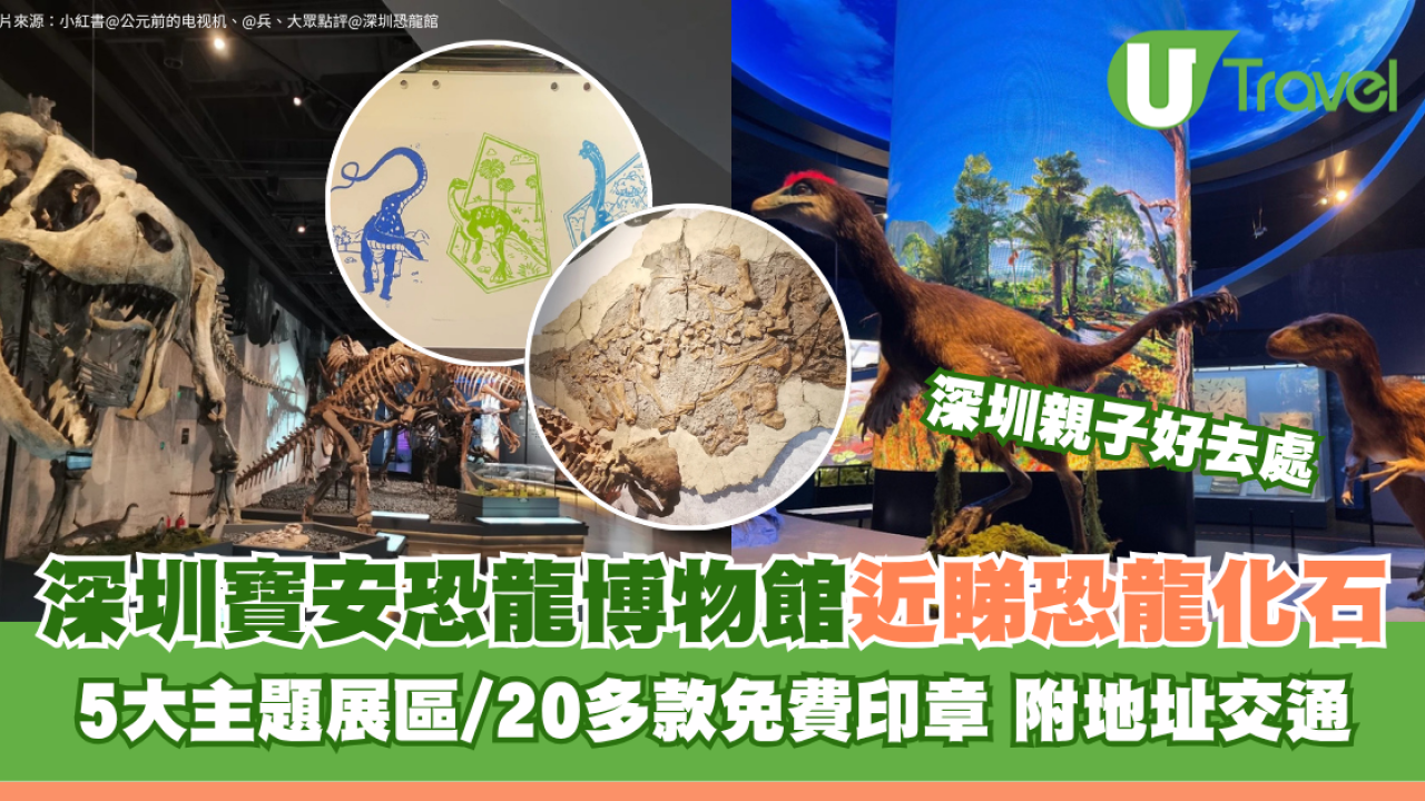 深圳寶安恐龍博物館近睇恐龍化石！5大主題展區/20多款免費印章 附地址交通