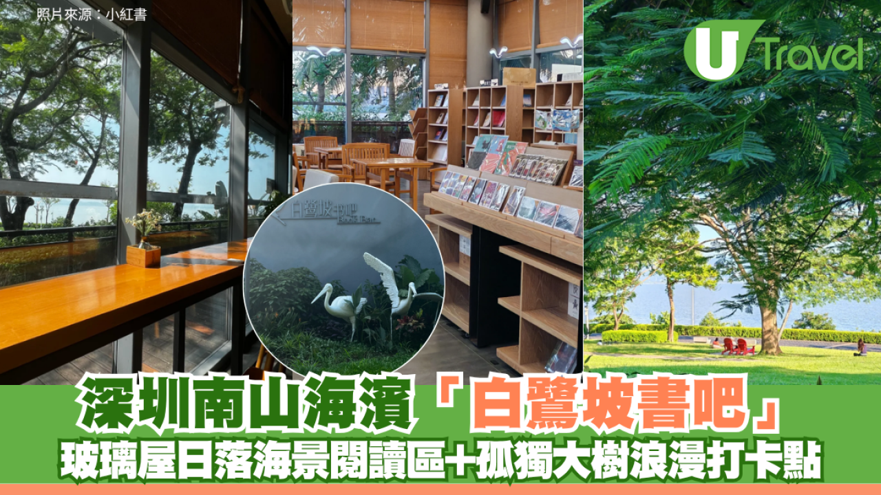 深圳南山海濱「白鷺坡書吧」免費入場！玻璃屋日落海景閱讀區+孤獨大樹浪漫打卡點