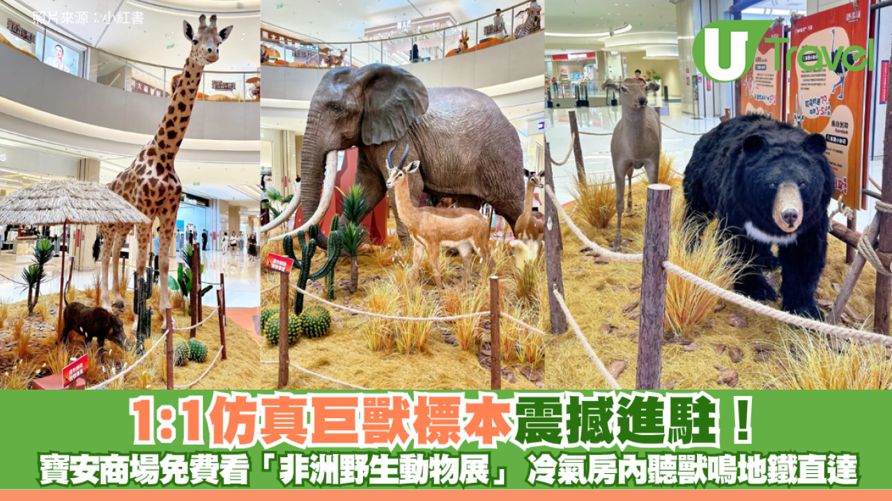 深圳寶安商場免費「非洲野生動物展」 1:1仿真巨獸標本震撼進駐！冷氣房內聽獸鳴地鐵直達
