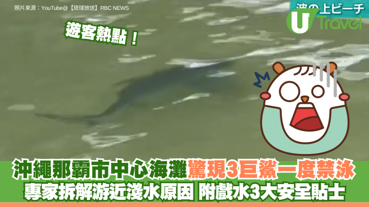 沖繩那霸市中心海灘驚現3巨鯊一度禁泳 專家拆解游近淺水原因 附戲水3大安全貼士