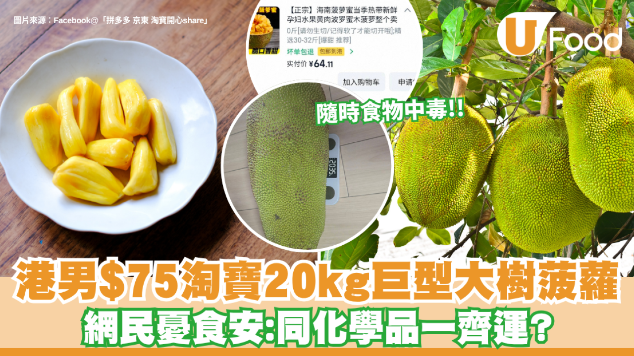 港男$75淘寶20kg巨型大樹菠蘿！因超重獲免費送上門 網民憂食安：同化學品一齊運？