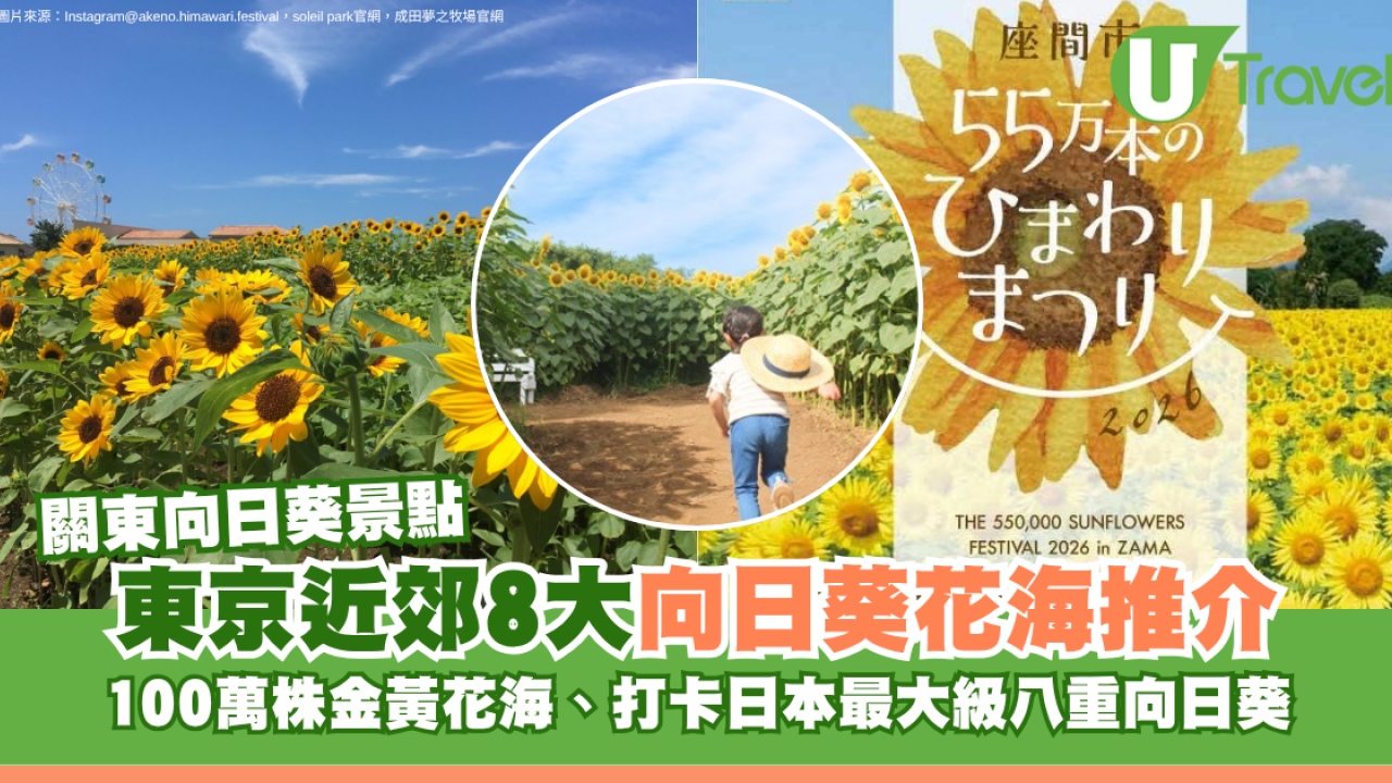 關東向日葵景點｜東京近郊8大向日葵花海推介！100萬株金黃花海、打卡日本最大級八重向日葵