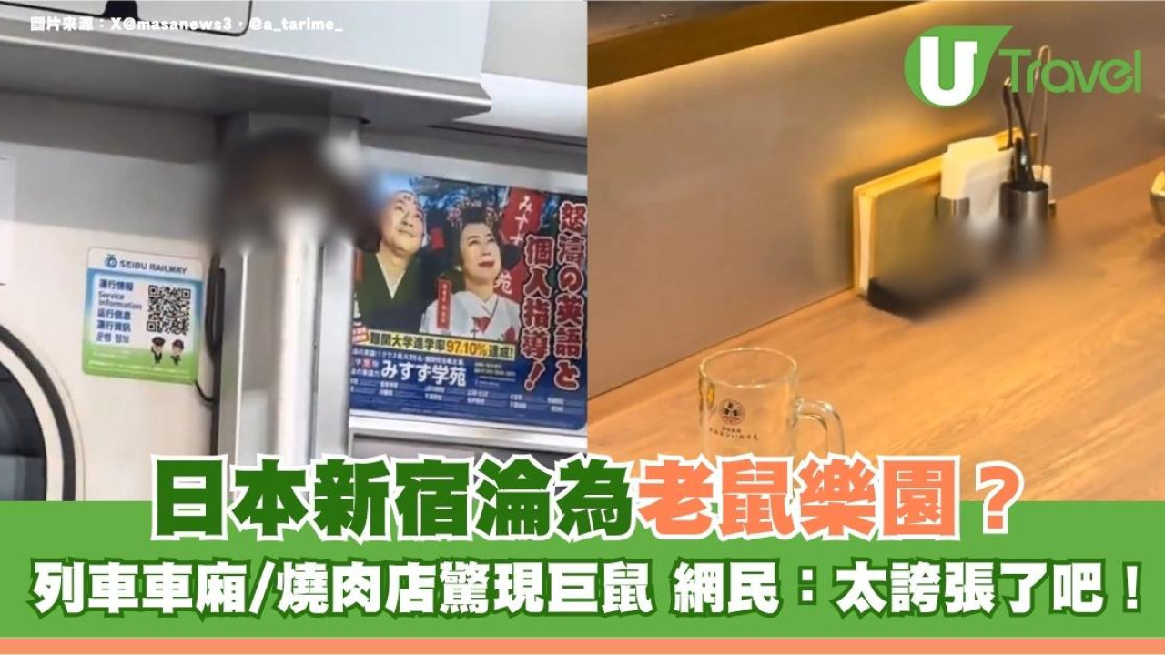 遊日注意｜日本新宿淪老鼠樂園？列車車廂/燒肉店驚現巨鼠 網民：太誇張了吧！