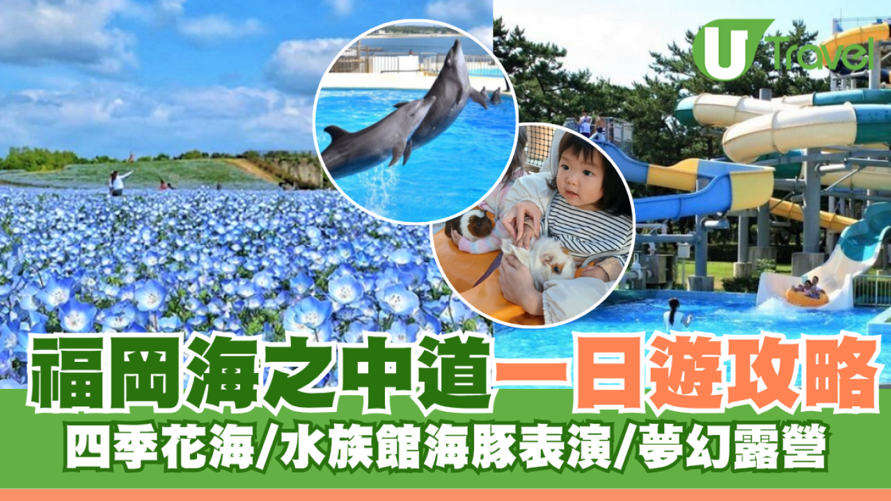 福岡自由行｜海之中道一日遊攻略！四季花海/水族館海豚表演/夢幻露營路線