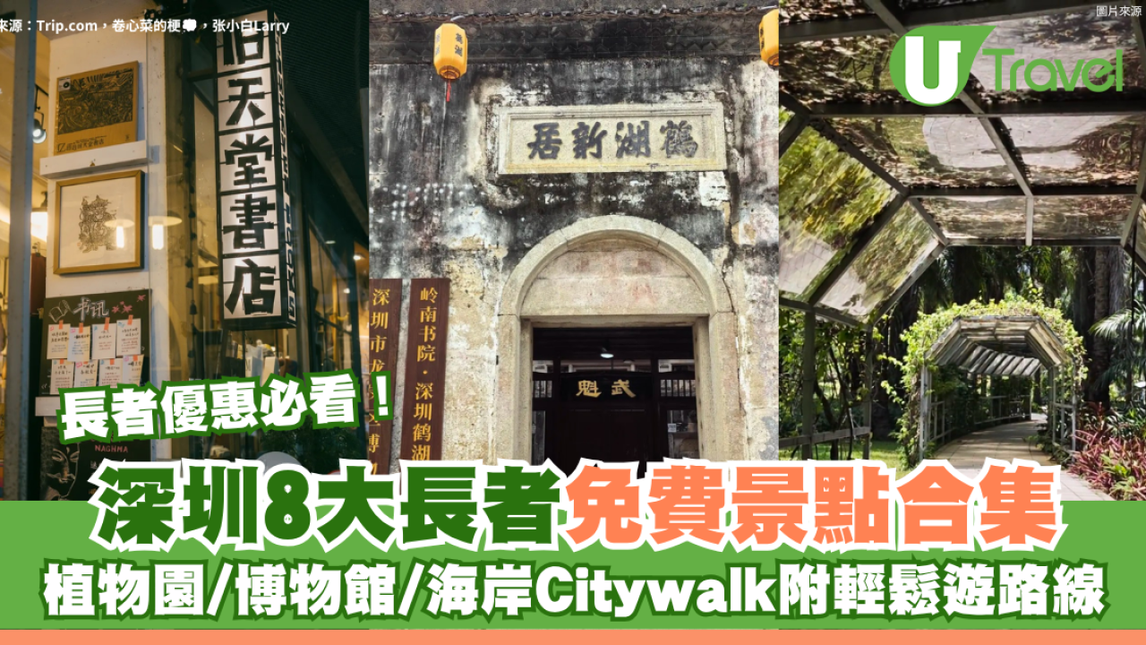 長者優惠必看！深圳8大長者免費景點合集！植物園/博物館/海岸Citywalk附輕鬆遊路線