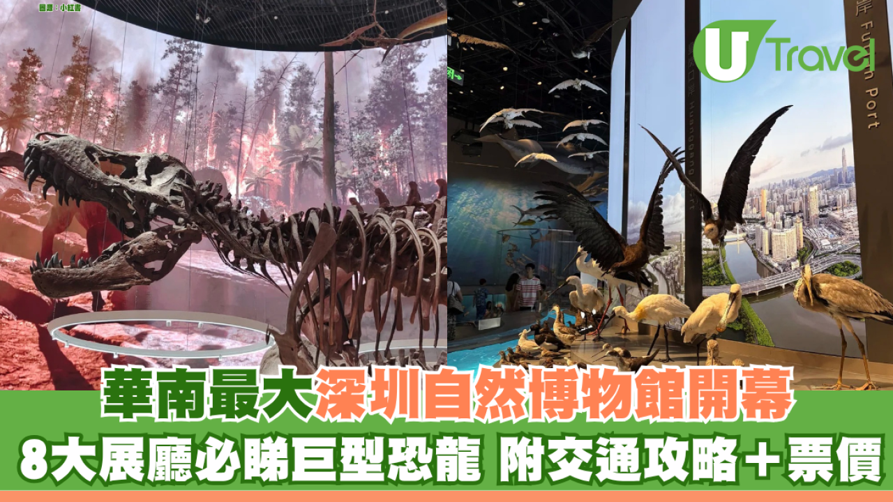深圳新好去處！華南最大深圳自然博物館開幕 8大展廳震撼恐龍化石 附交通攻略＋票價