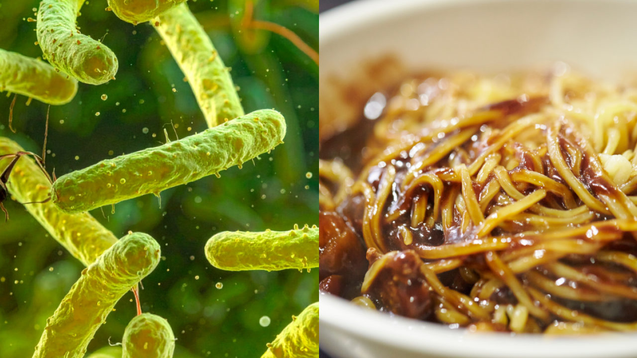 葵涌小店麵食樣本含菌量超標8.5倍! 食安中心緊急要求停售+棄置食品