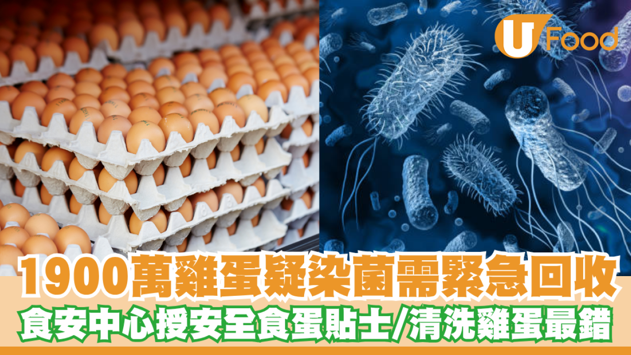 1900萬雞蛋疑染沙門氏菌需緊急回收！食安中心授安全食蛋貼士／清洗雞蛋最錯