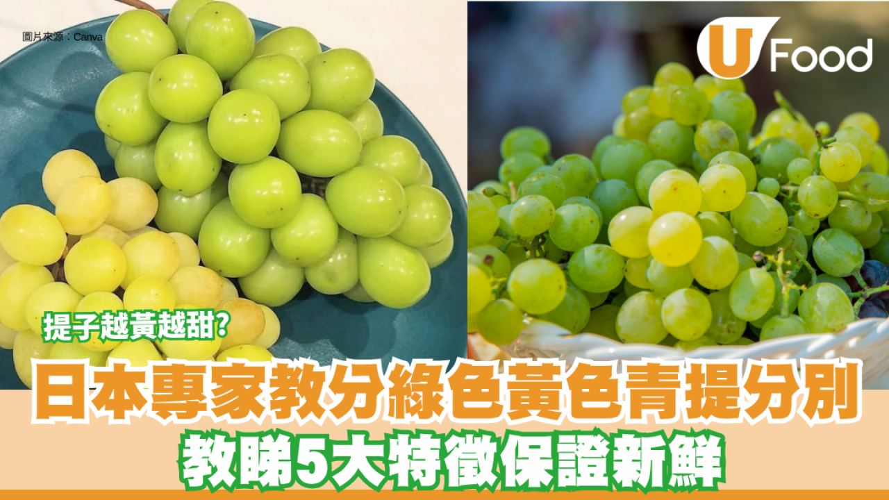揀選提子｜提子越黃越甜？日本專家教分綠色黃色青提分別 教睇5大特徵保證新鮮！