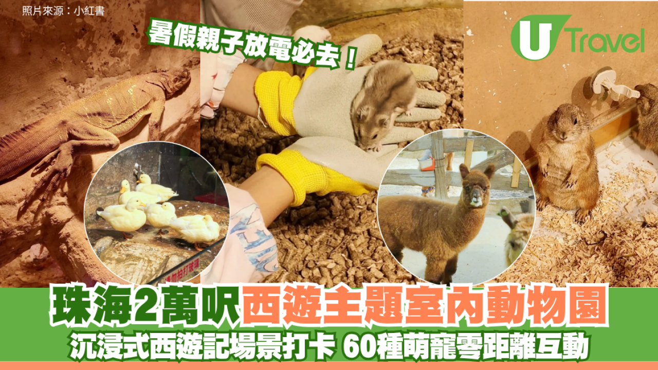 暑假親子放電必去！珠海2萬呎西遊主題室內動物園 沉浸式西遊記場景打卡 60種萌寵零距離互動
