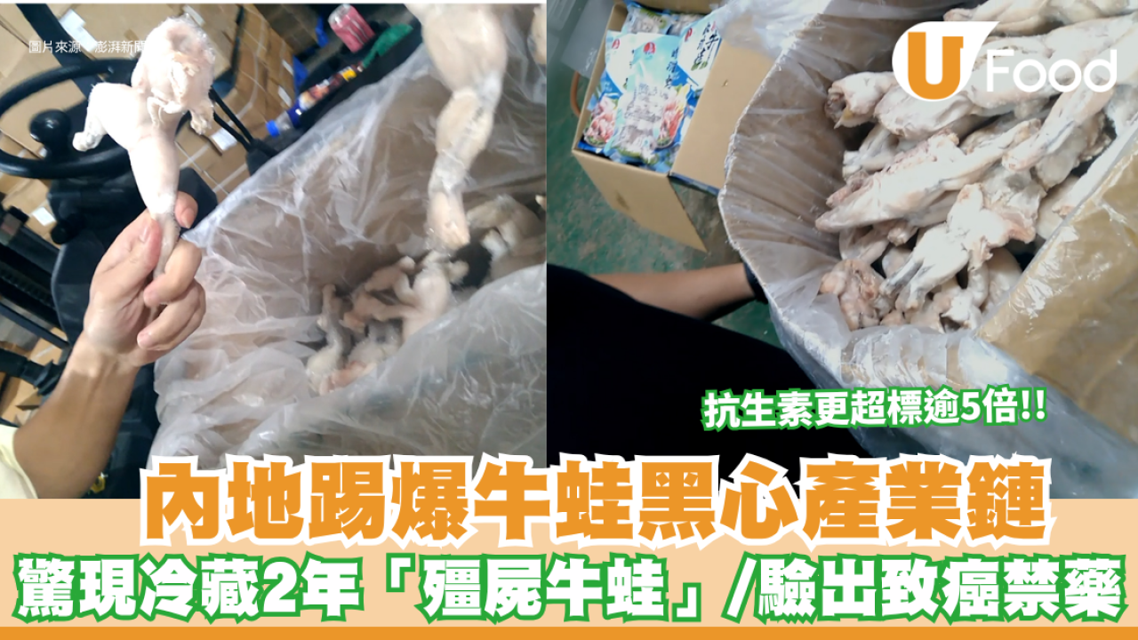 北上食牛蛙注意！內地踢爆黑心產業鏈 驚現冷藏2年「殭屍牛蛙」/驗出致癌禁藥