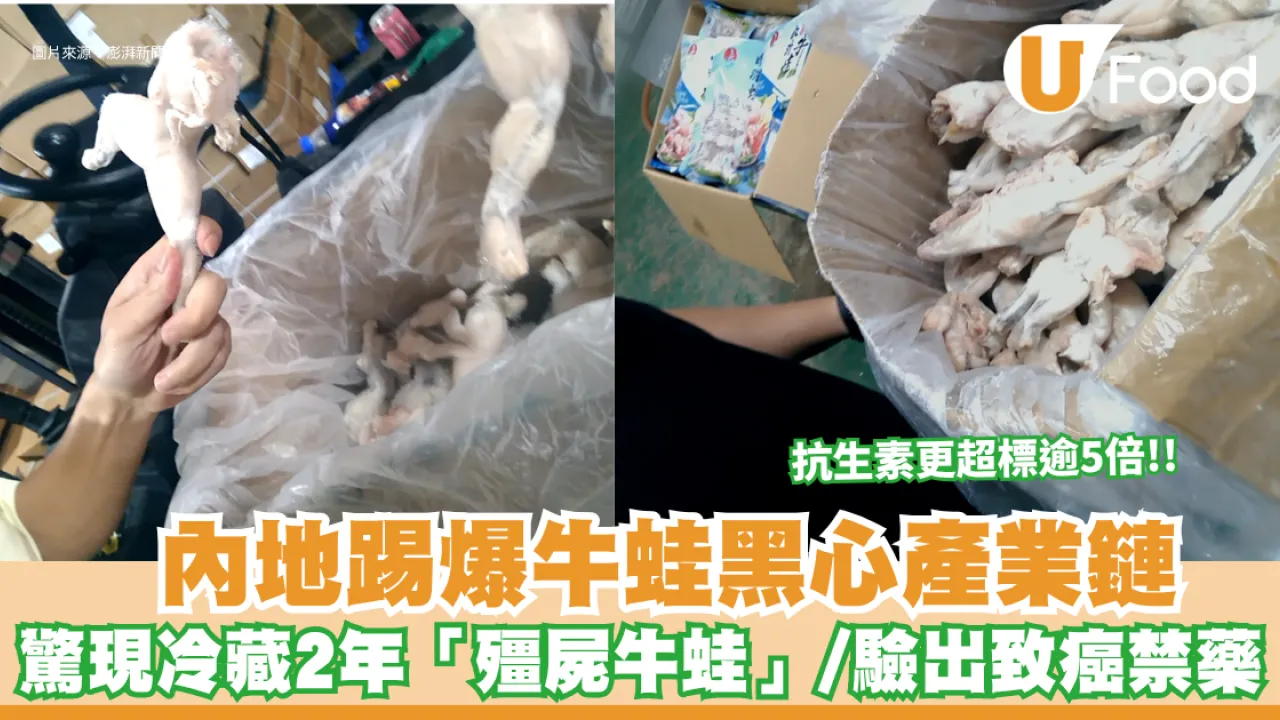 北上食牛蛙注意！內地踢爆黑心產業鏈 驚現冷藏2年「殭屍牛蛙」/驗出致癌禁藥
