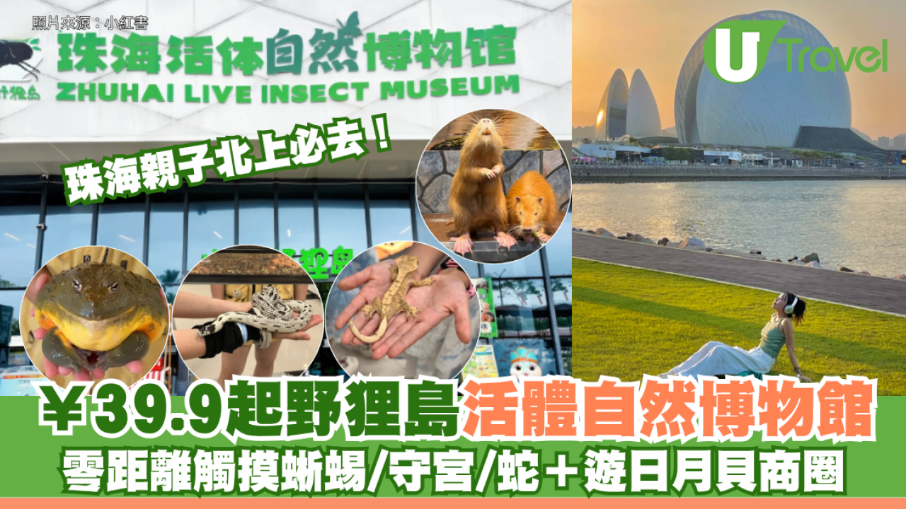 珠海親子北上必去！¥39.9起野狸島活體自然博物館 零距離觸摸蜥蜴/守宮/蛇＋遊日月貝商圈