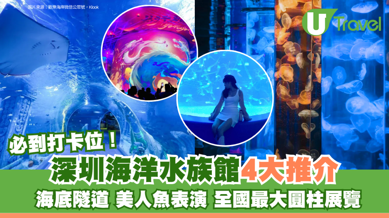 深圳水族館推介｜小梅沙、觀瀾海洋世界 60米海底隧道穿梭睇美人魚表演