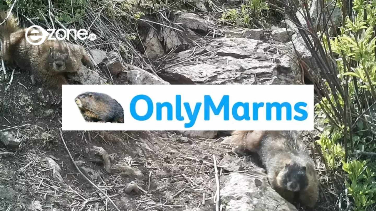 UCLA 學者竟開 OnlyFans？可免費睇仍月入 4 千美金 揭曉背後真正用途全網大讚