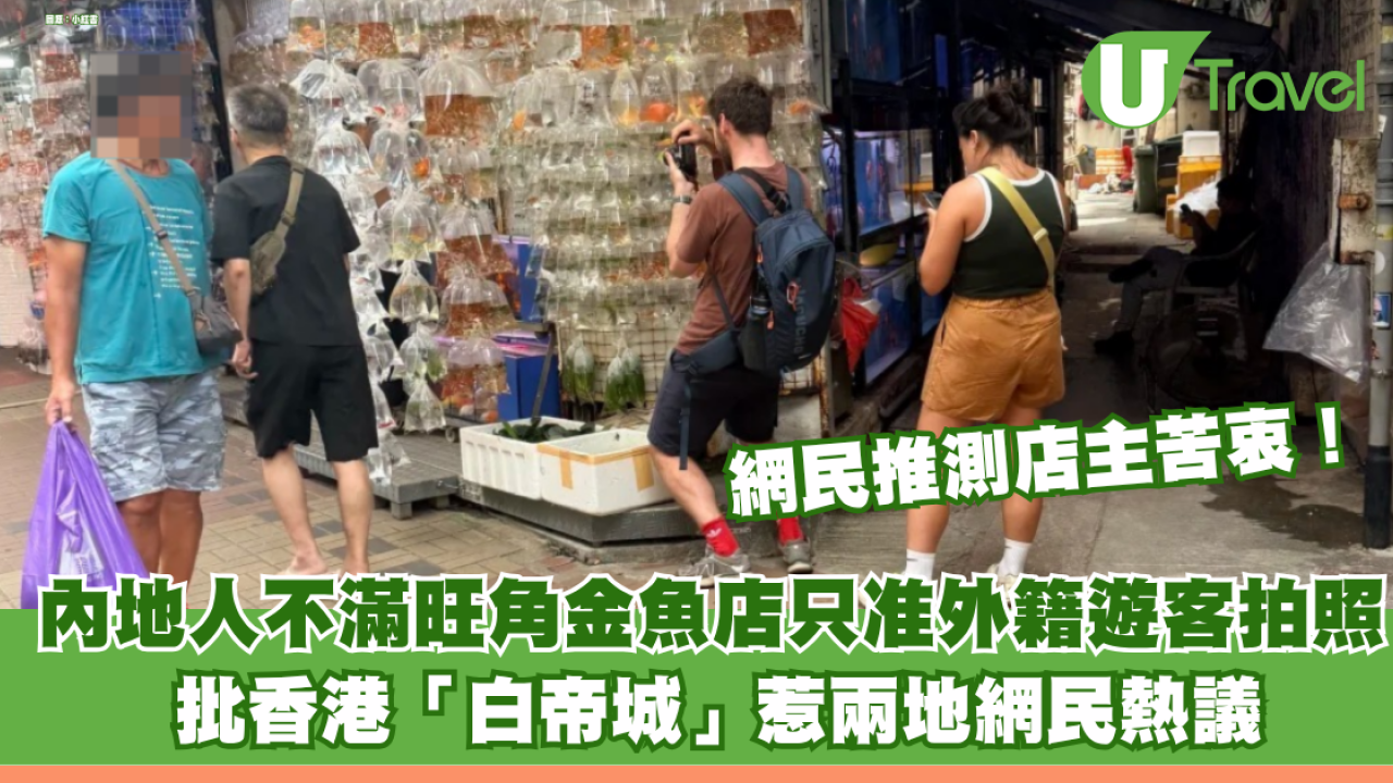 內地人不滿旺角金魚店只准外籍遊客拍照 批香港「白帝城」惹兩地網民熱議！