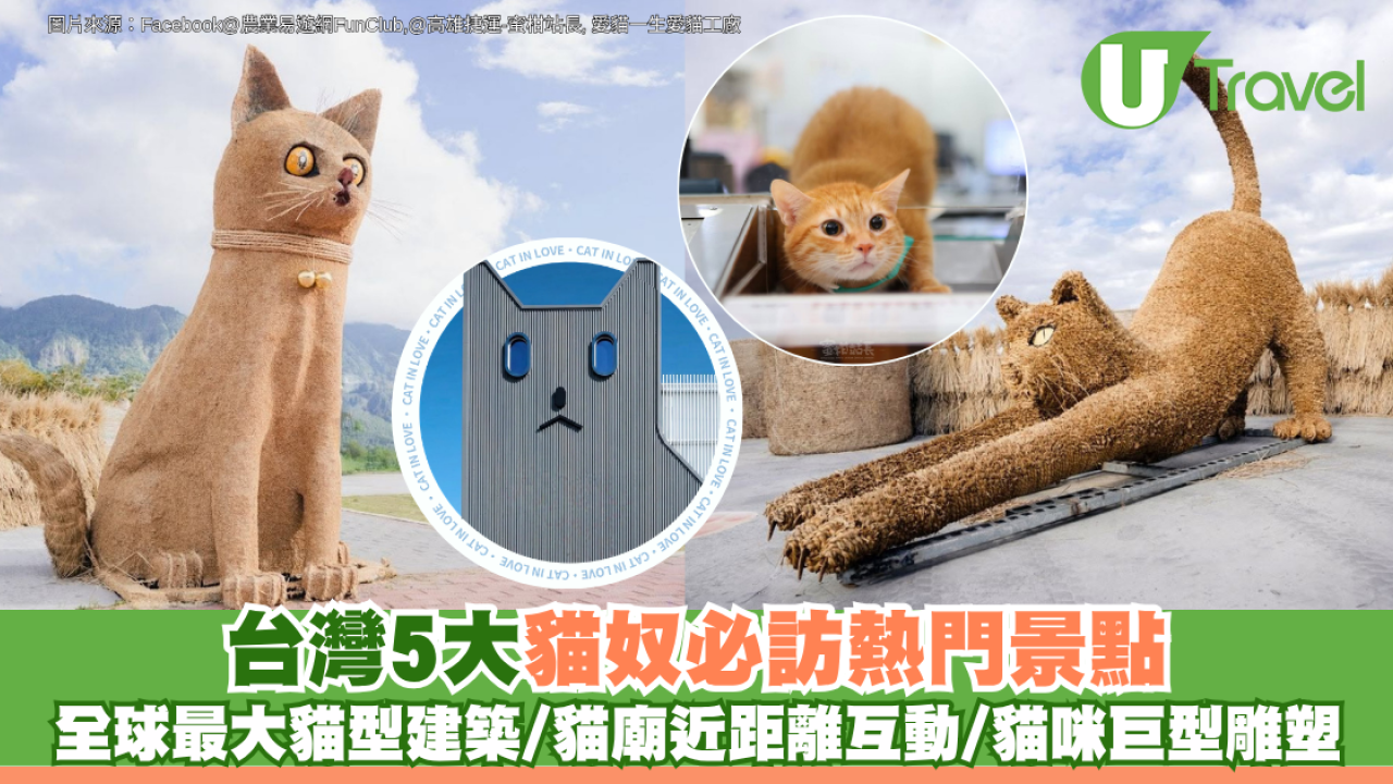 台灣5大貓奴必訪熱門景點 全球最大貓型建築/貓廟近距離互動/貓咪巨型雕塑