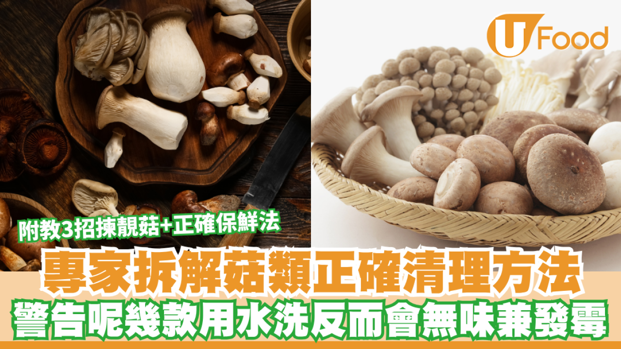 處理菇類貼士｜煮菇到底要唔要用水洗？專家拆解3大處理法：呢幾款用水洗反而會無味！附教3招揀靚菇+正確保鮮法