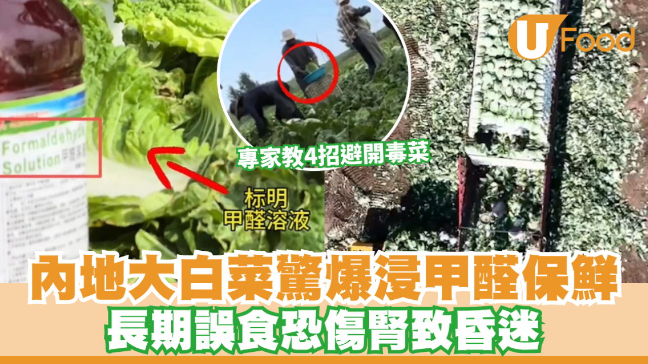 甲醛白菜｜內地驚爆「甲醛大白菜」！一級致癌物當保鮮劑 長期食用傷腎 4招教快速識別毒菜