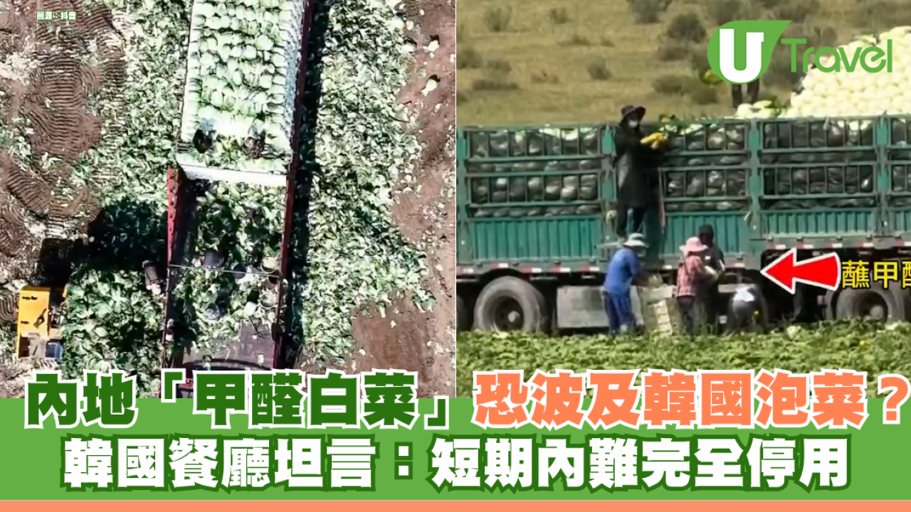 內地爆「甲醛白菜」恐波及港人常吃韓國泡菜？ 韓國餐廳：短期內難停用中國白菜 附3招自保步驟