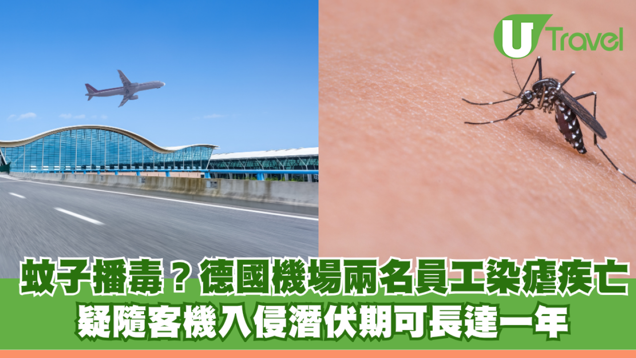蚊子搭飛機播毒？德國機場兩名員工染瘧疾亡 疑隨客機入侵潛伏期可長達一年