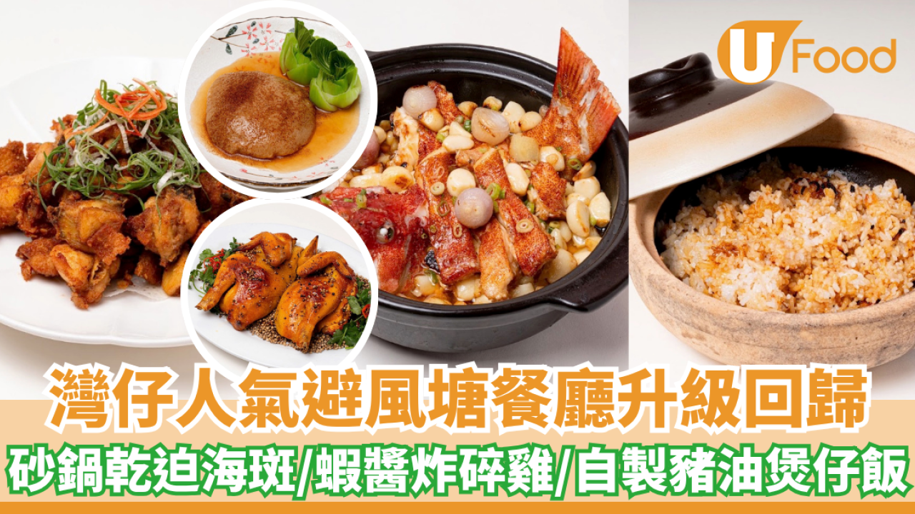 灣仔人氣避風塘海鮮餐廳升級回歸！砂鍋乾迫海斑/大澳蝦醬炸碎雞/自製豬油煲仔飯