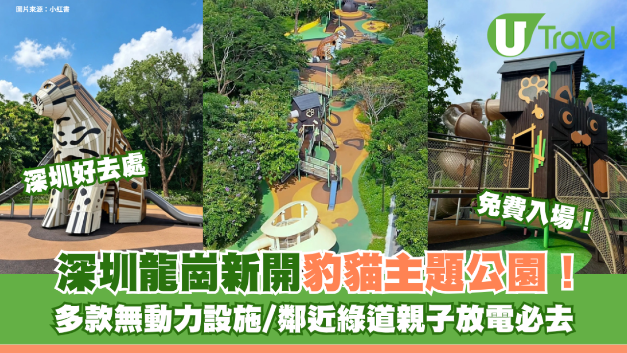 深圳龍崗新開豹貓主題公園免費入場！多款無動力設施/鄰近綠道親子放電必去