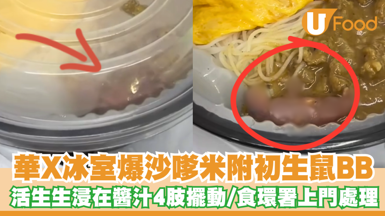 葵涌華姐冰室爆沙嗲米粉附初生老鼠BB！活生生浸在醬汁4肢擺動／食環署上門處理