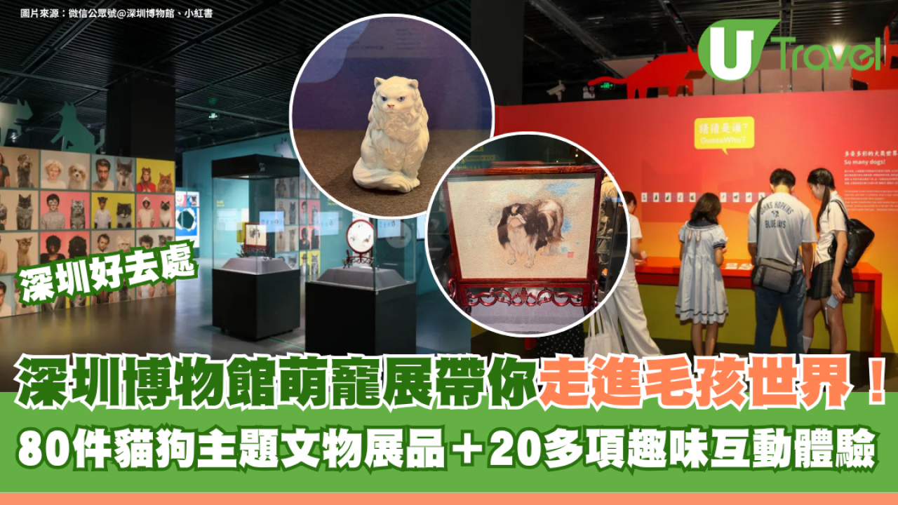 深圳博物館萌寵展帶你走進毛孩世界！80件貓狗主題文物展品＋20多項趣味互動體驗