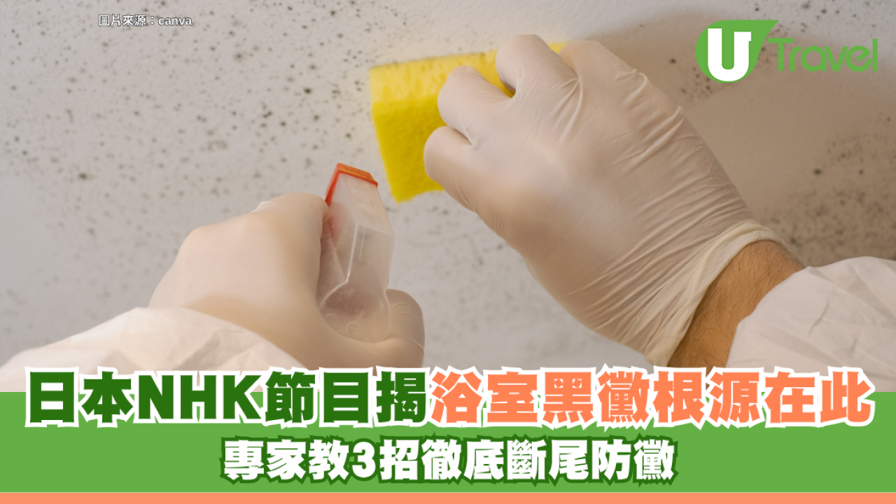 浴室黑黴狂刷又再生？日本NHK節目揭根源竟在此！專家教3招徹底斷尾防黴