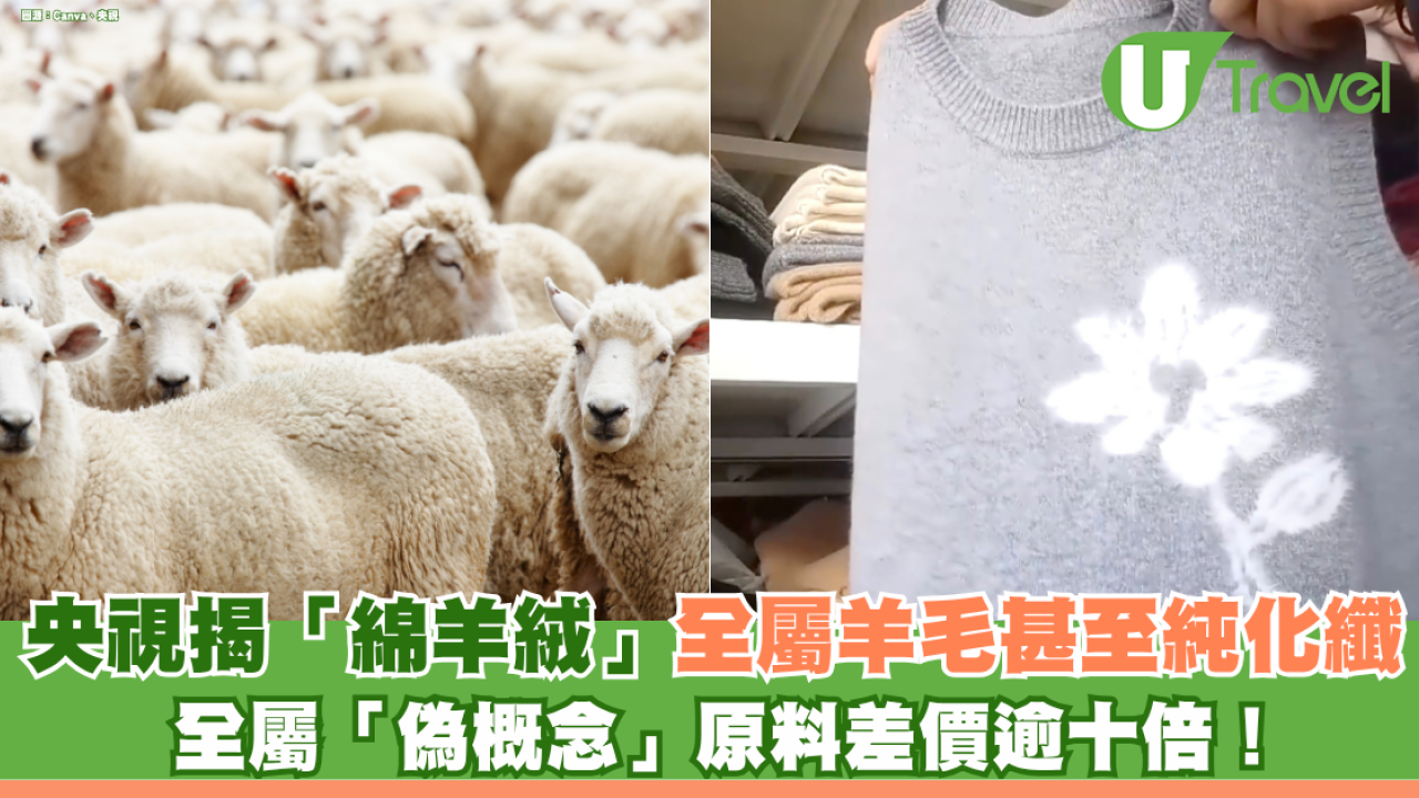 北上買衫網購注意！央視揭「綿羊絨」全屬羊毛甚至純化纖 原料差價逾十倍！