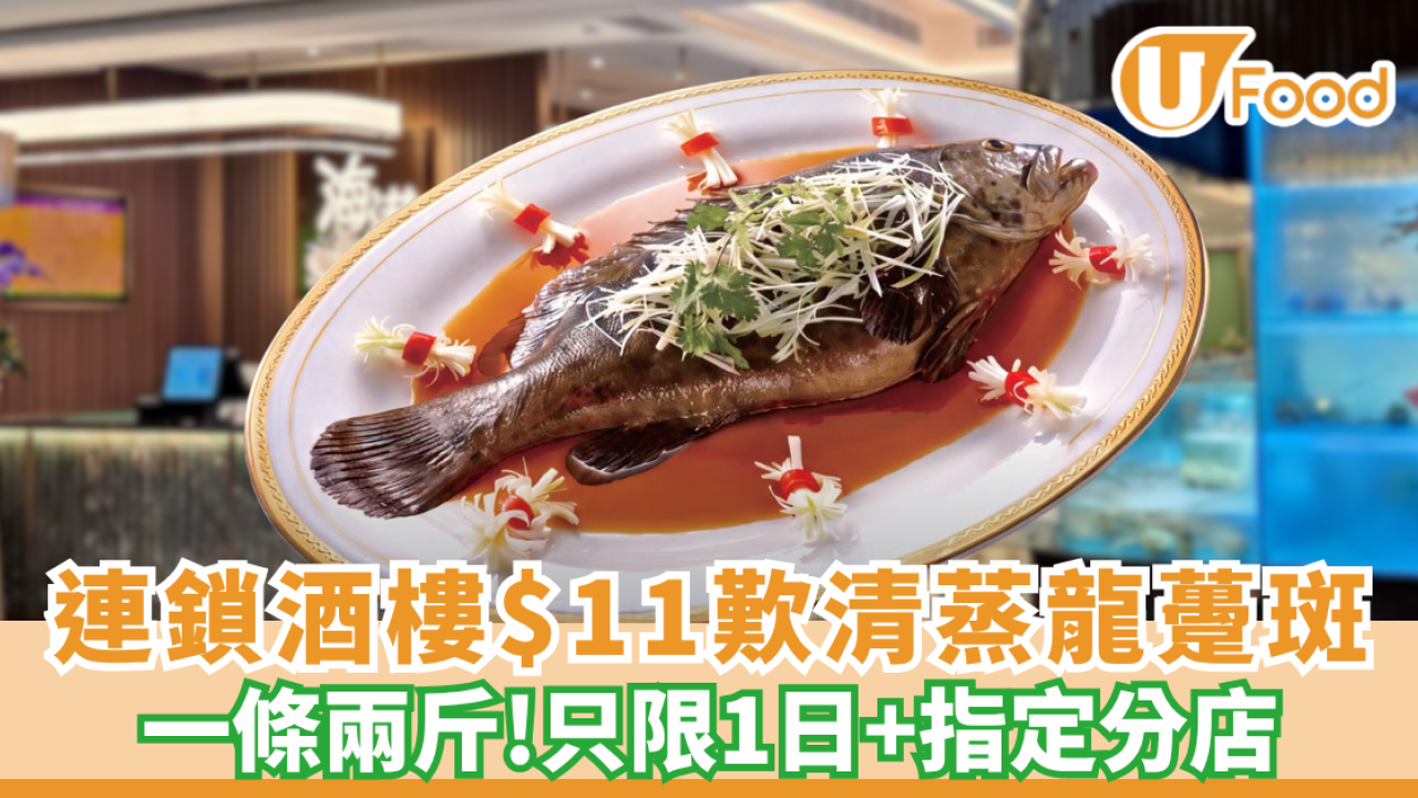 連鎖酒樓$11歎兩斤重清蒸蝴蝶龍躉斑 只限1日+附指定分店! 