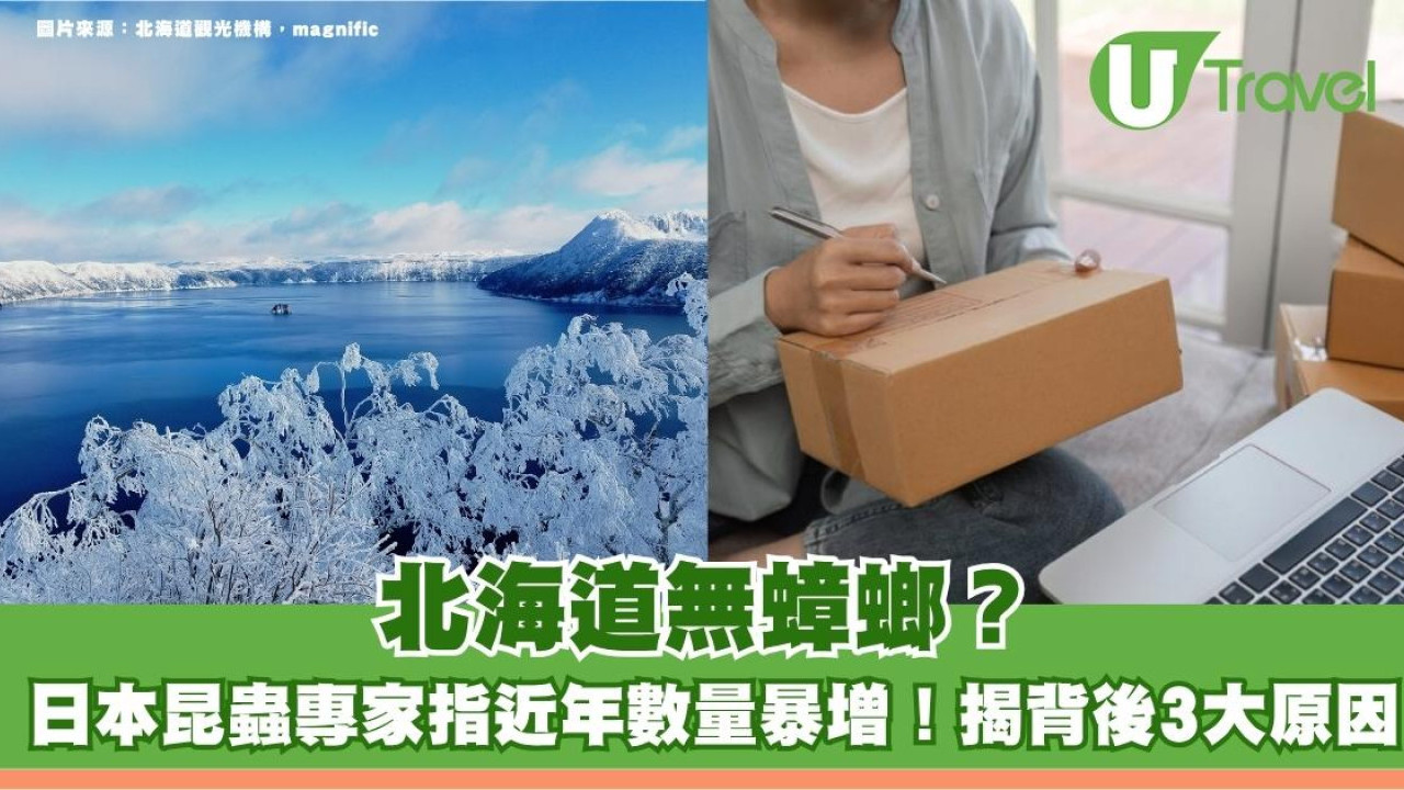 北海道無蟑螂？日本昆蟲專家指近年數量暴增！揭背後3大原因
