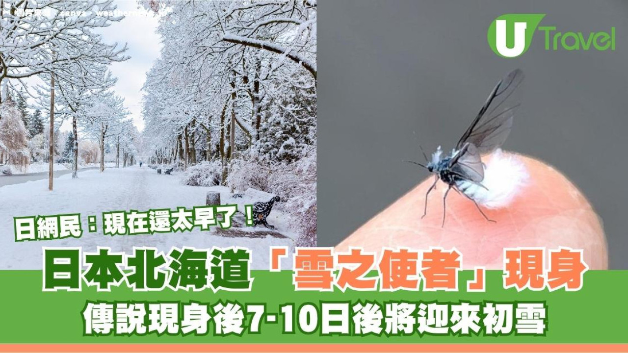 日本北海道「雪之使者」現身！傳說現身後7-10日後將迎來初雪 日網民大驚：現在還太早了！