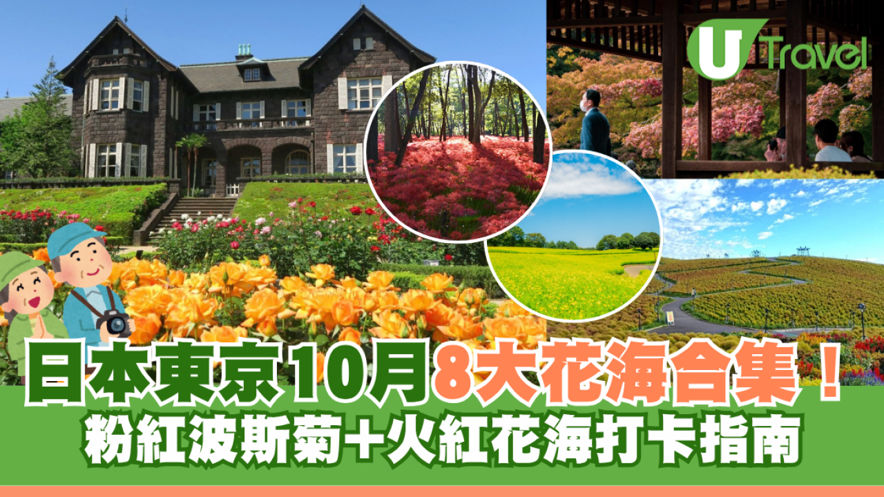 日本賞花自由行！東京10月8大花海合集 粉紅波斯菊+火紅花海打卡指南