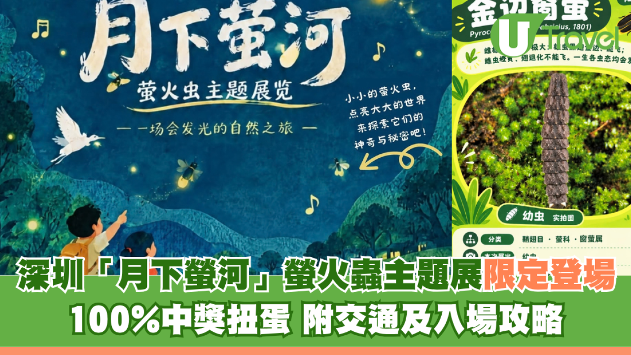 深圳「月下螢河」螢火蟲主題展限定登場 100%中獎扭蛋！附交通及入場攻略