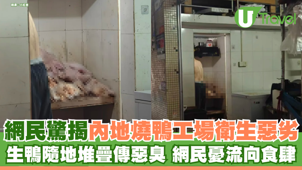 網民驚揭內地燒鴨工場衛生極惡劣 生鴨隨地堆疊傳惡臭 內地網民憂流向食肆：寧食預製菜