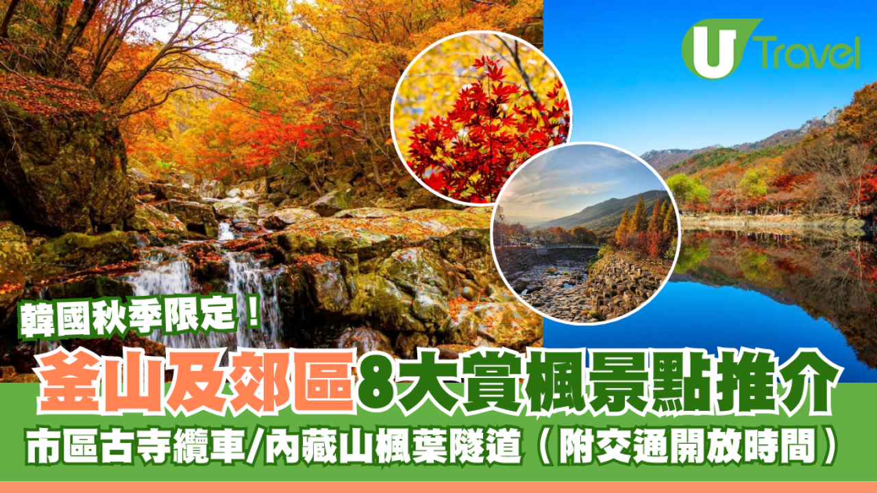 釜山賞楓2026｜釜山市區、郊區8大賞楓景點推介！市區古寺纜車秘境/內藏山楓葉隧道 附交通開放時間
