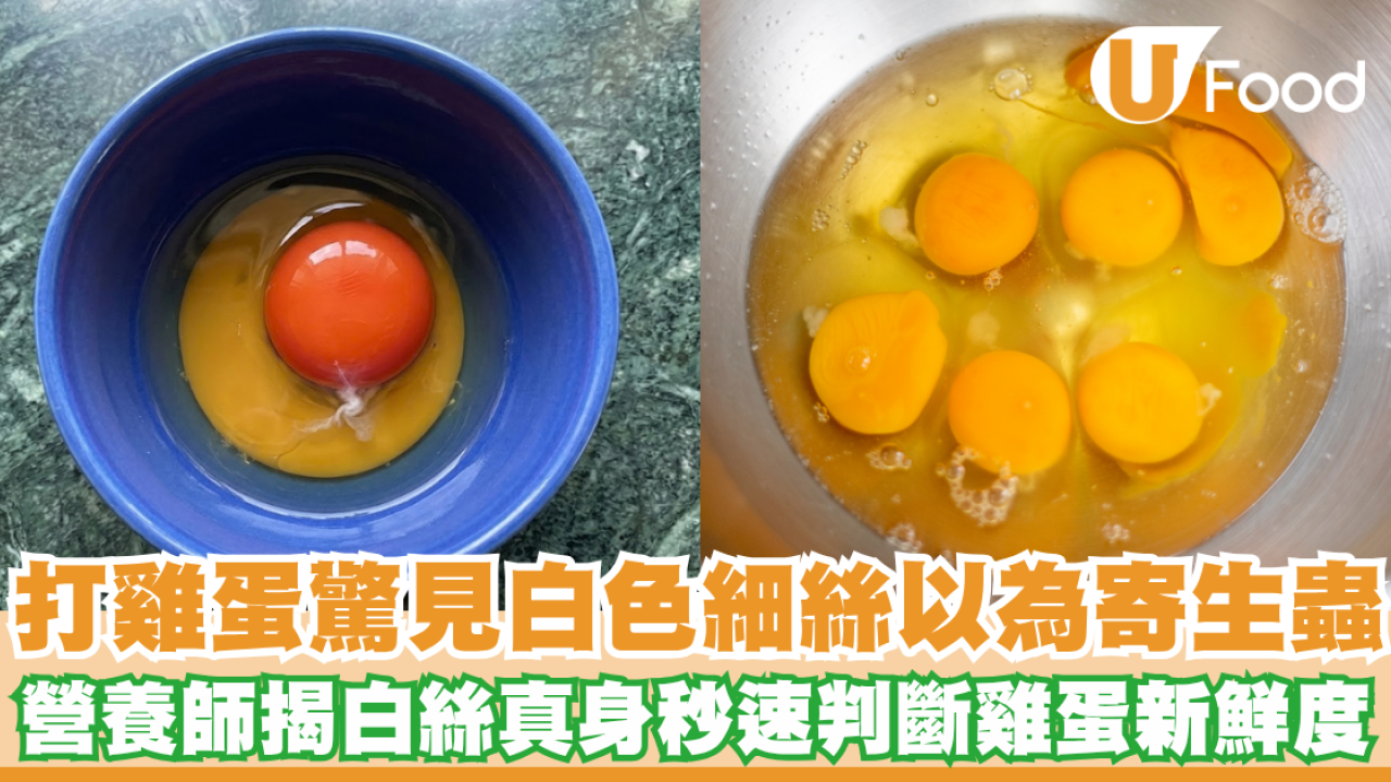 打雞蛋驚見「白色細絲」？營養師揭白絲真身 秒速分清雞蛋新唔新鮮