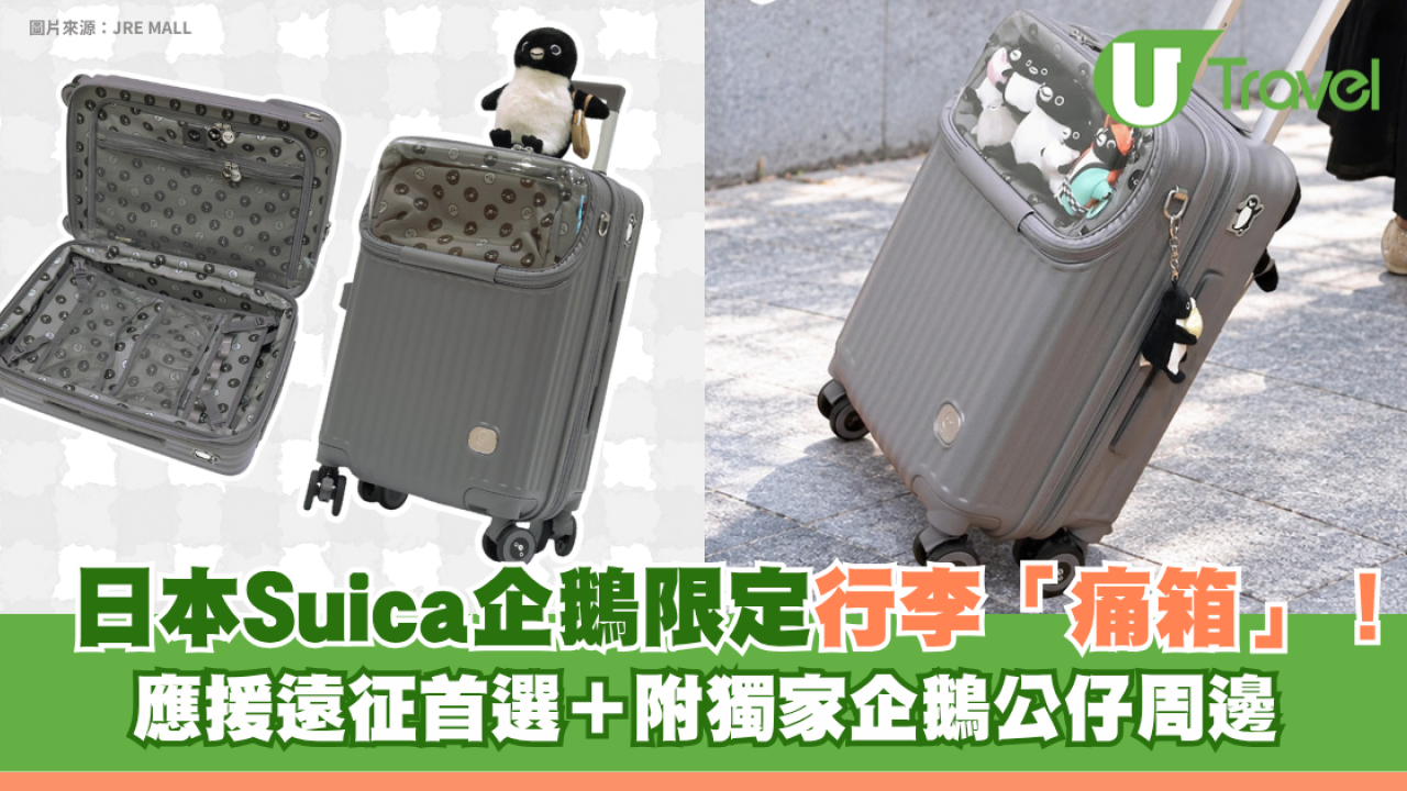 日本Suica企鵝限定行李「痛箱」！應援遠征首選＋附獨家企鵝公仔周邊