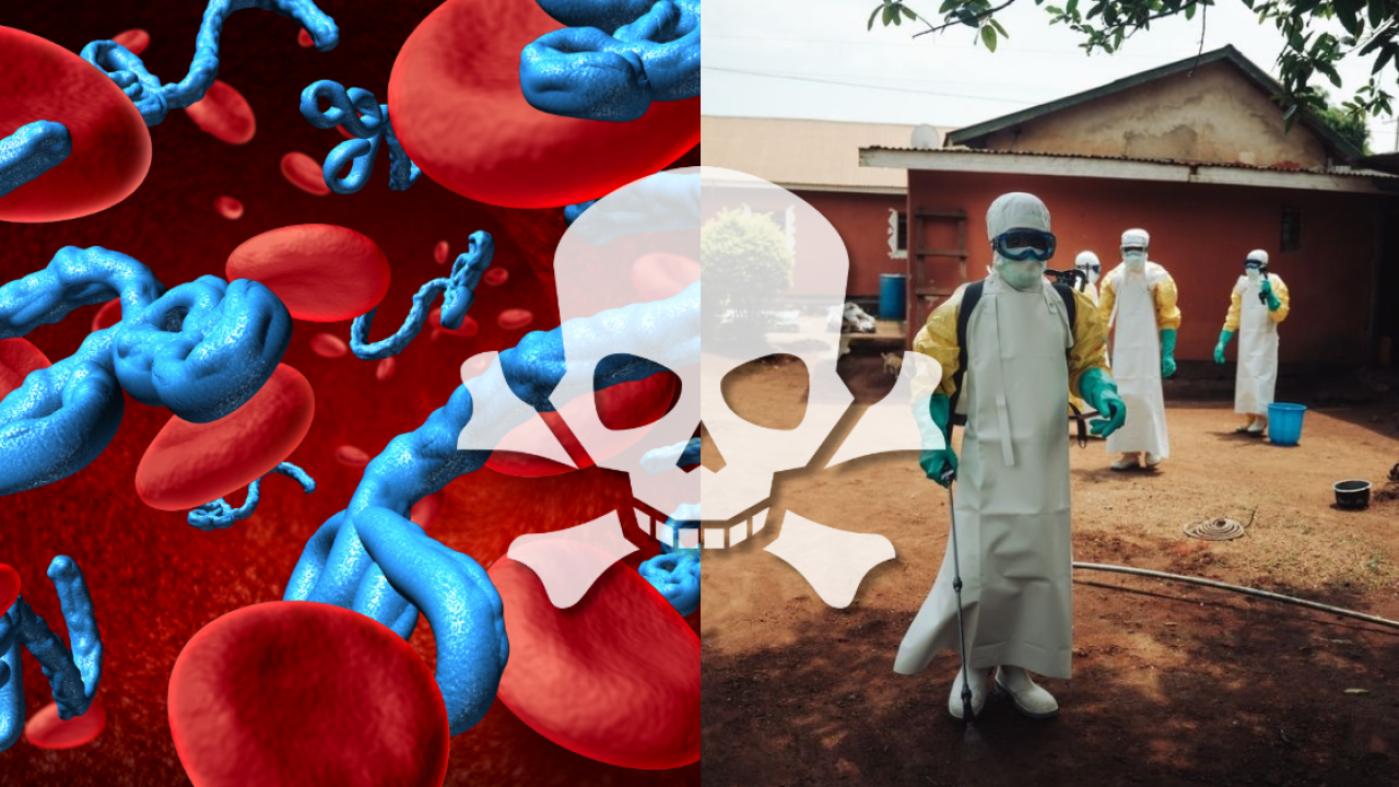 伊波拉確認飛機跨國擴散死亡個案！無藥可救已釀4千人死亡／無國界醫生：疫情未縮小而是轉移