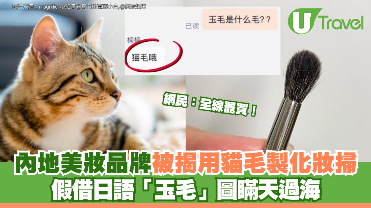 內地美妝品牌被揭用貓毛製化妝掃 假借日語「玉毛」圖瞞天過海 網民：全線罷買！