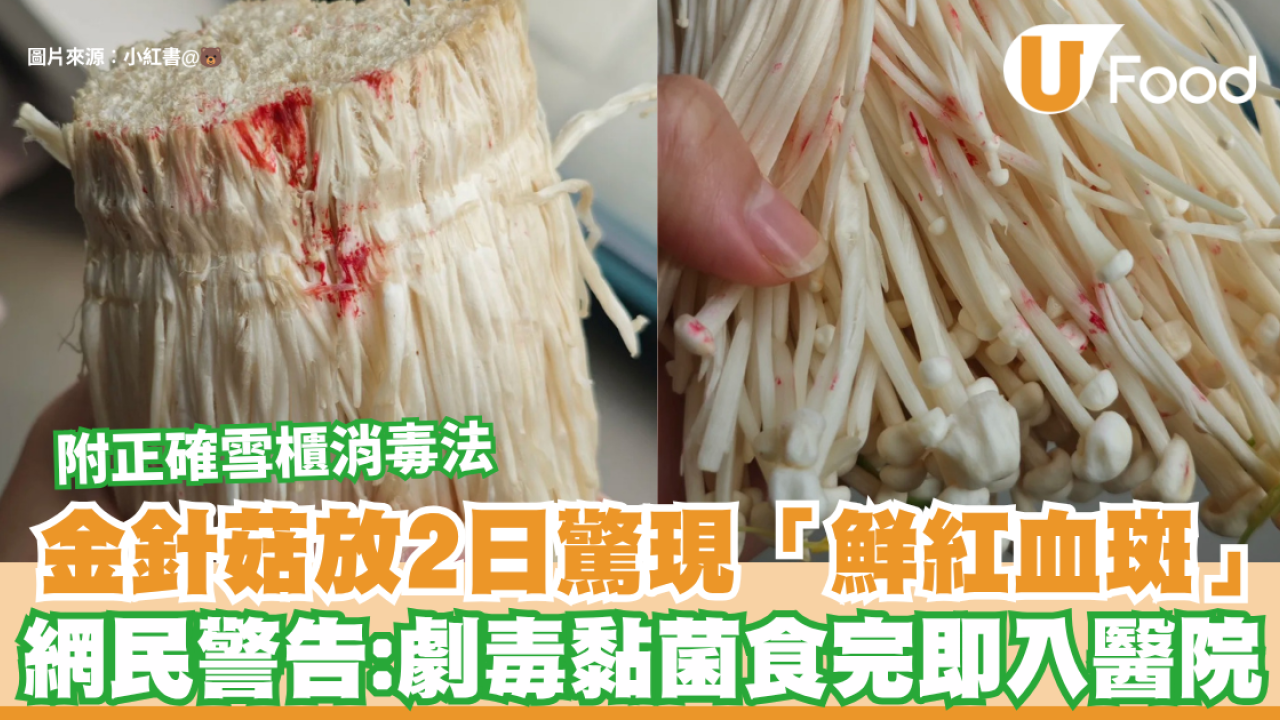 金針菇放2日驚現恐怖「鮮紅血斑」！網民警告：劇毒黏菌食完即入醫院  附正確雪櫃消毒法