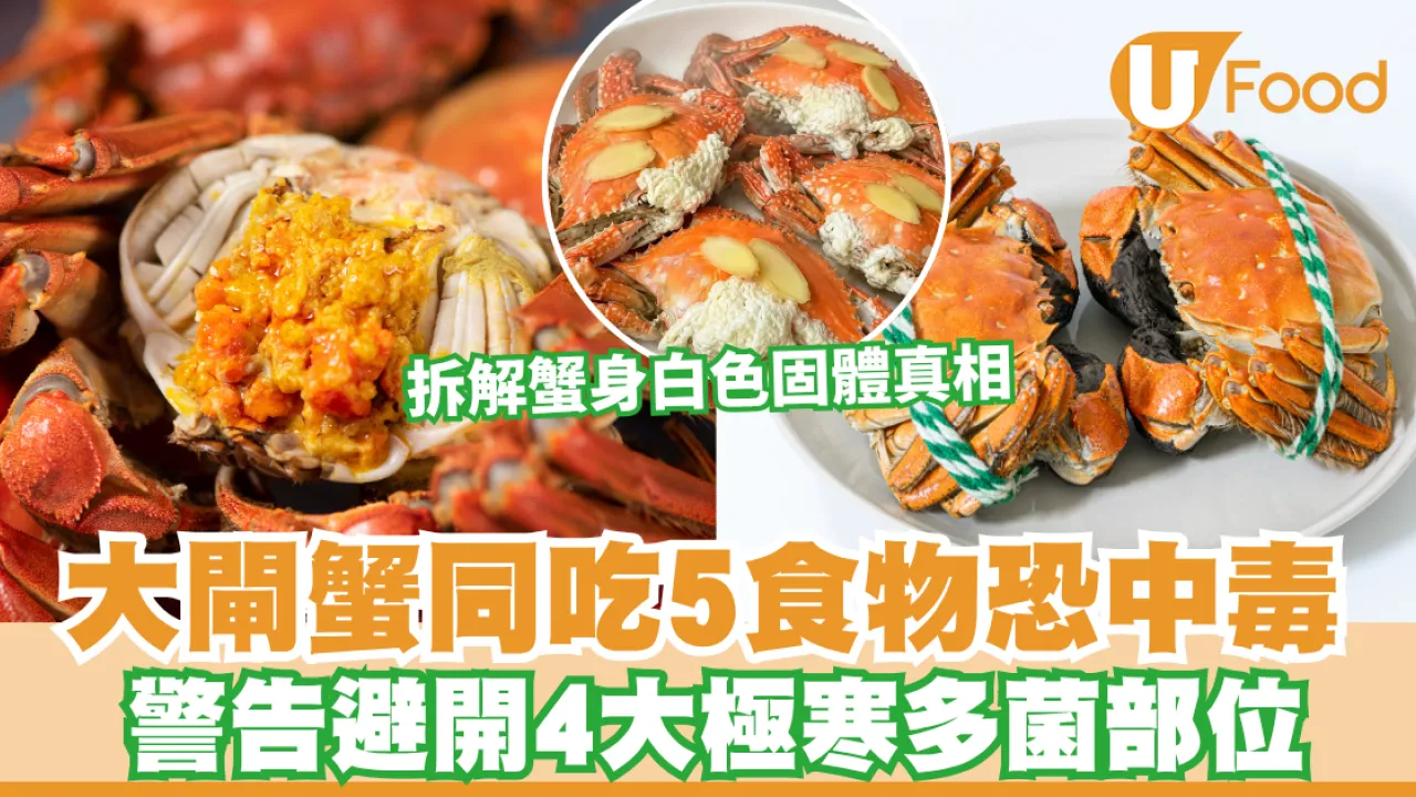 大閘蟹禁忌｜大閘蟹同吃5食物恐中毒 中醫警告避開4大極寒多菌部位 拆解蟹身白色固體真相