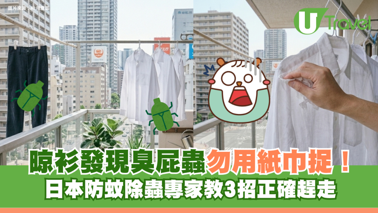 晾衫發現臭屁蟲勿用紙巾捉！日本防蚊除蟲專家教3招正確趕走椿象！