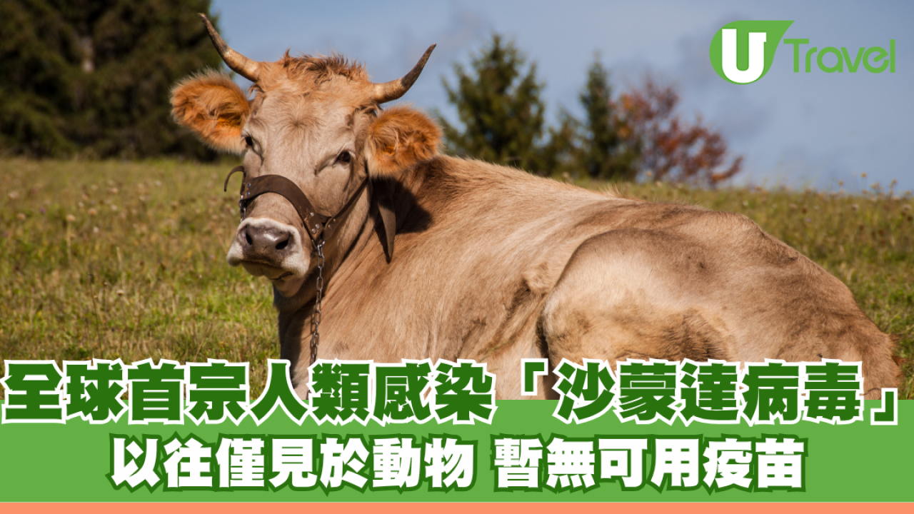 法國驚現全球首宗人類感染「沙蒙達病毒」死亡個案！以往僅見於動物 暫無可用疫苗