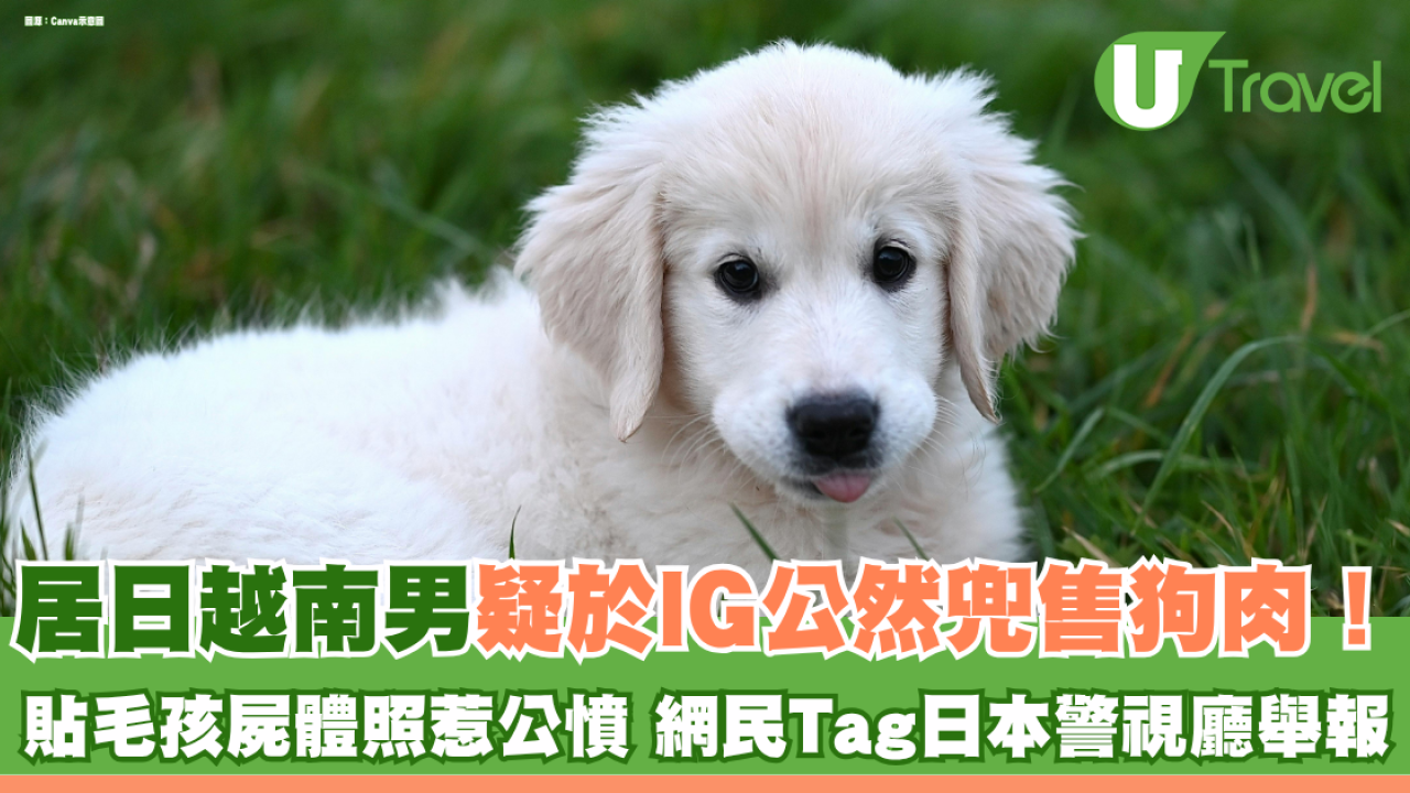 居日越南男疑於IG公然兜售狗肉！ 貼毛孩屍體照惹公憤 網民Tag日本警視廳舉報